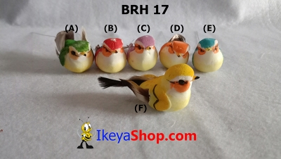 BRh 17 a  large2